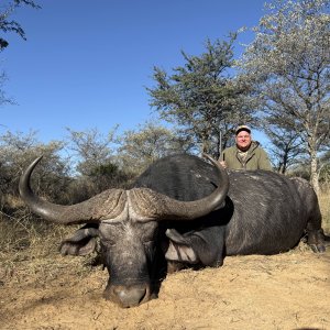 Buffalo Hunt South Africa
