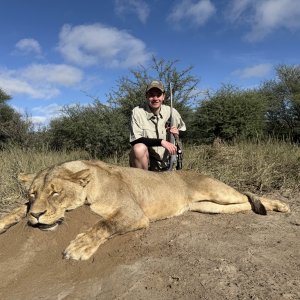 Lioness Hunt South Africa