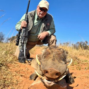 Warthog Hunt South Africa