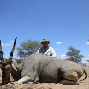 Eland Hunt Kalahari Namibia