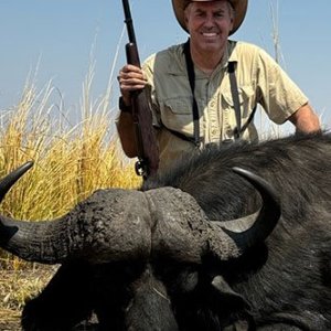 Cape Buffalo Hunt Kalahari Namibia