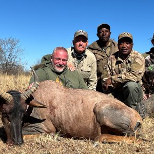 Tsessebe Hunting