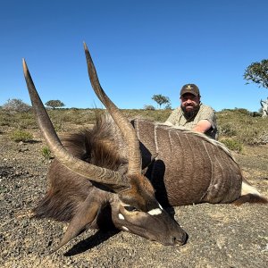 Nyala Hunt Eastern Cape South Africa