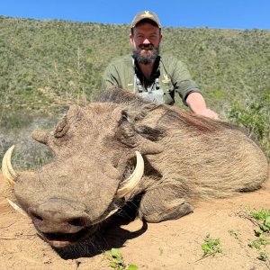 Warthog Hunt Eastern Cape South Africa