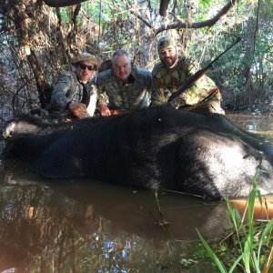 Buffalo Hunt