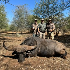 Buffalo Hunting
