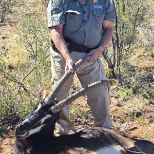 Sable Hunt South Africa