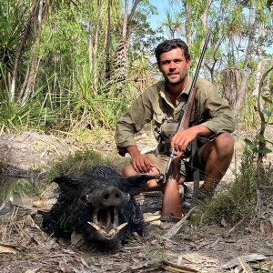 Boar Pig Hunt Australia