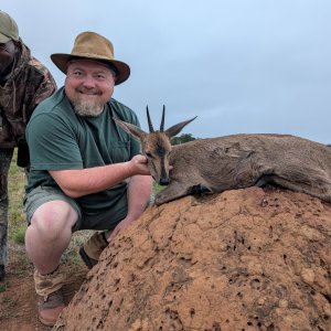 Duiker Hunt Eastern Cape South Africa