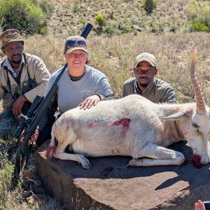 White Blesbok Hunt Eastern Cape South Africa
