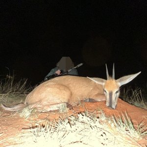Duiker hunt, North West Province