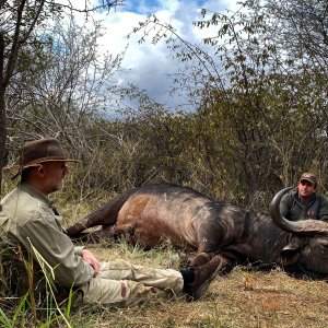 Buffalo South Africa with Bayly Sippel Safaris