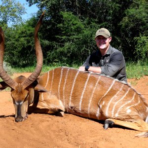 Red Nyala Bull South Africa with Bayly Sippel Safaris
