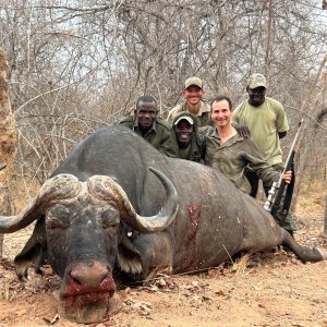 Buffalo Hunt Zimbabwe