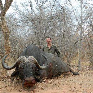 Buffalo Hunt Zimbabwe