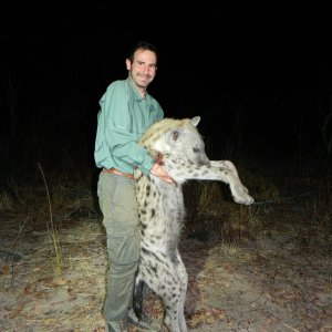 Hyena Hunt Zimbabwe