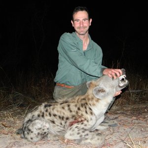 Hyena Hunt Zimbabwe