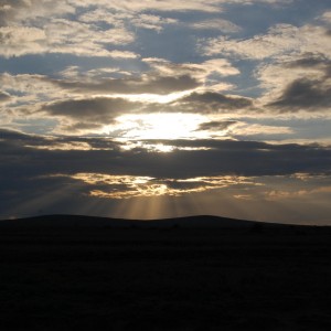 Tanzania Skies