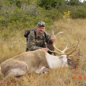 Hunting caribou