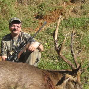 Hunting Rusa Deer