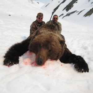 Hunting Brown Bear