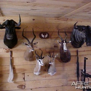 Trophy room