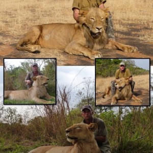 Lion Hunting in Central African Republic