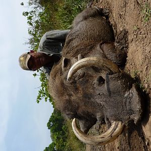Hunting Warthog in Central African Republic