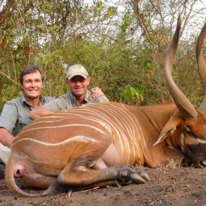 32 inch Bongo hunted in CAR