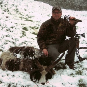 Bowhunting Four-horned sheep, 2010