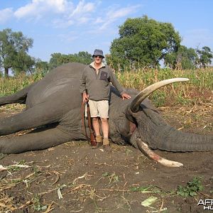 78 pound elephant taken in Sengwe 1