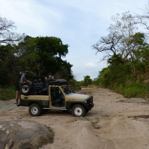 River bed in CAR