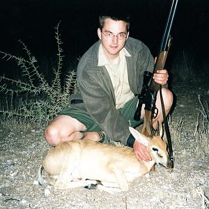 Duiker, Namibia 2003