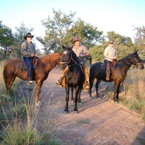 Riding Horses at Sadaka Safaris, South Africa, Limpopo