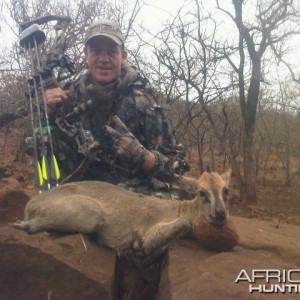 Common Duiker Leeukop Safaris