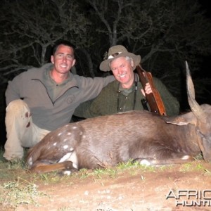 Cape Bushbuck with Leeukop Safaris