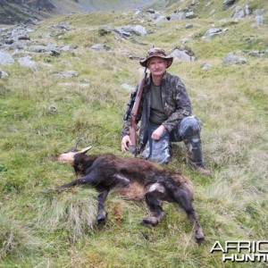 Hunting Carpathian Chamois in Romania