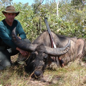 Hunt Australia Buffalo