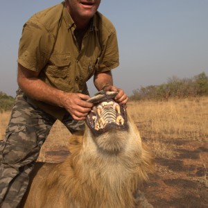 Hunting Lion in CAR