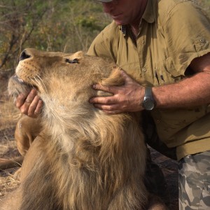 Hunting Lion in CAR