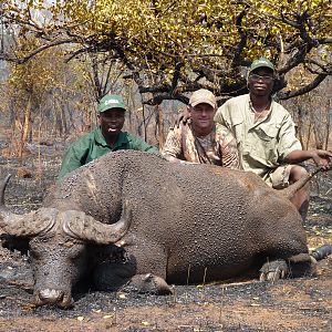 Buffalo hunted in Central African Republic
