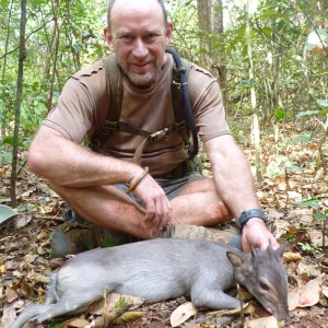 Hunting Blue Duiker in Central African Republic
