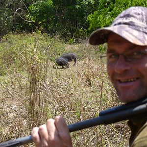 Hunting Giant Forest Hog in Central African Republic