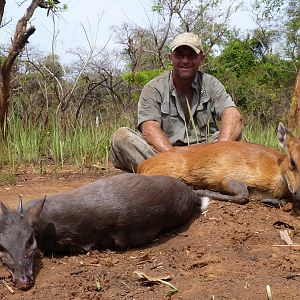 Hunting Blue and Red Flanked Duiker in CAR