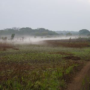 Hunting in CAR