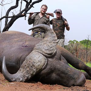 Hunting Buffalo in CAR