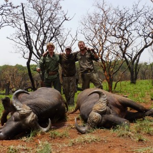 Double on Buffalo CAR