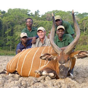 Bongo hunted in CAR