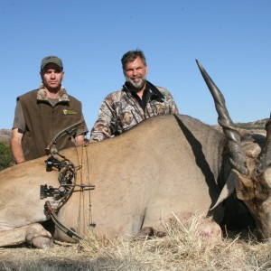 Bowhunting Eland with Wintershoek Johnny Vivier Safaris in South Africa