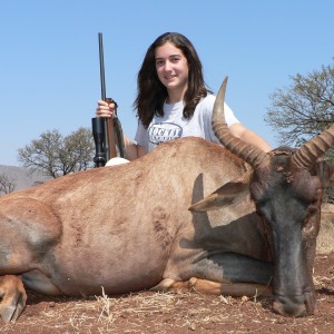 Hunting Tsessebe with Wintershoek Johnny Vivier Safaris in SA